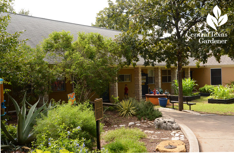 Redeemer Lutheran school native plant and food garden Central Texas Gardener