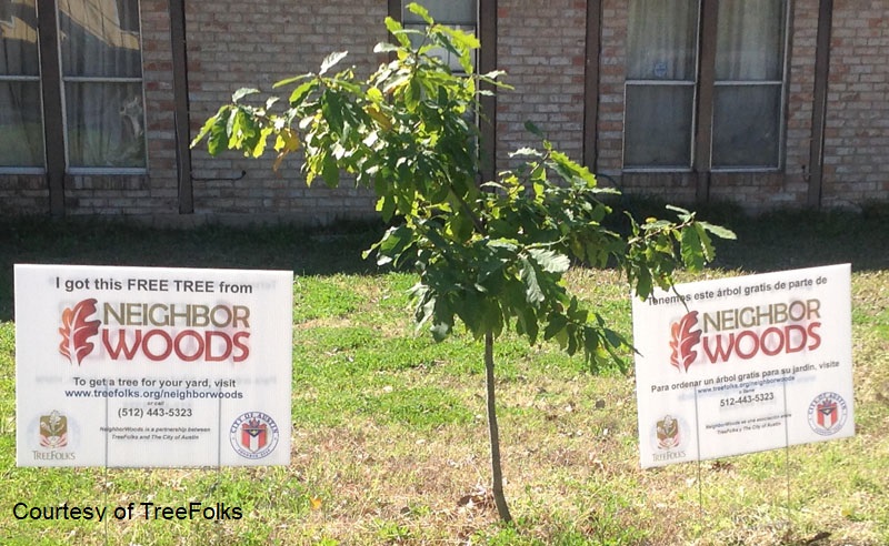 TreeFolks Neighbor Woods tree program Central Texas Gardener