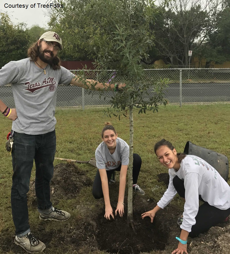 TreeFolks tree planting neighborhood Central Texas Gardener