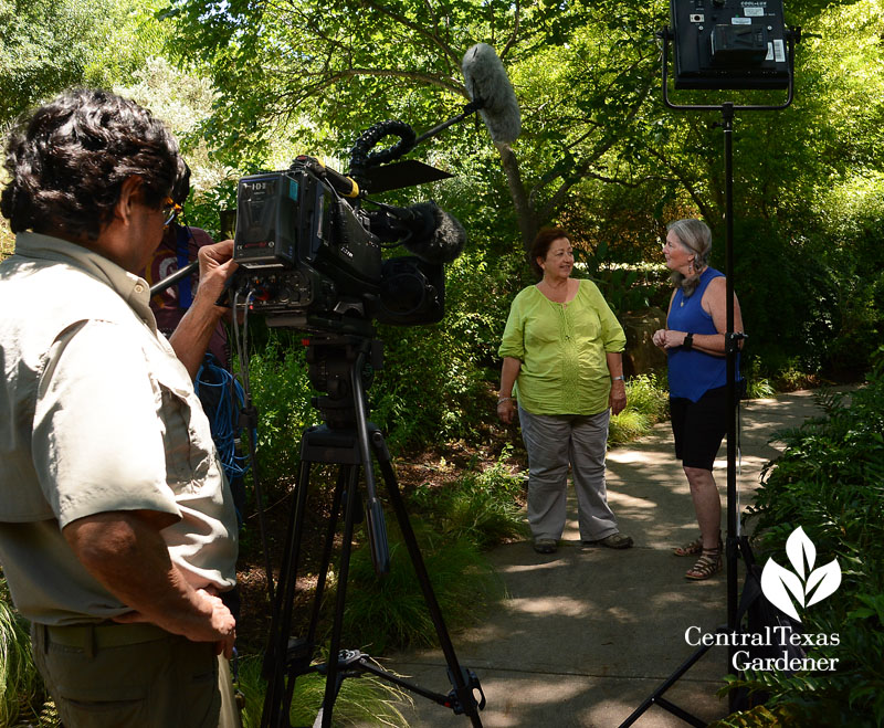 Trisha Shirey and Barbara Wise talk shade plants Central Texas Gardener