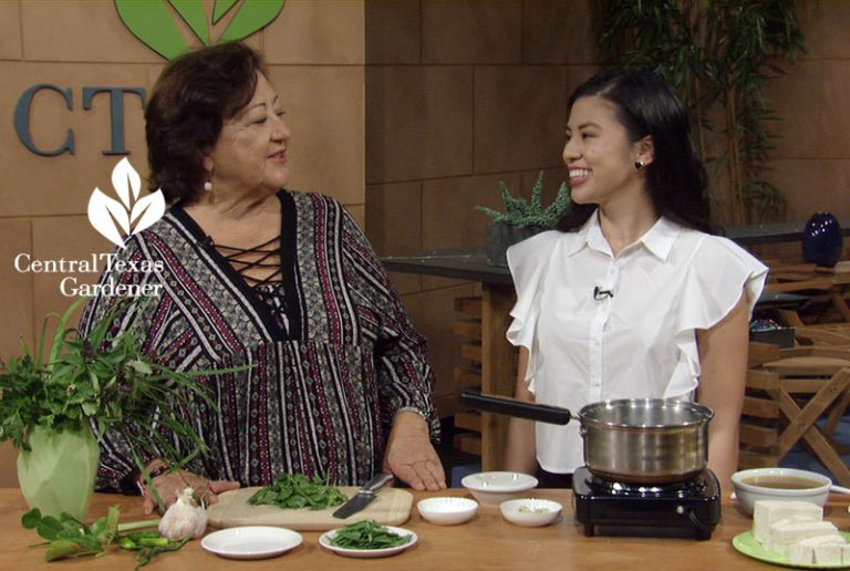 Vietnamese Garlic Chives Soup (Canh Dau Hu He) Central Texas Gardener
