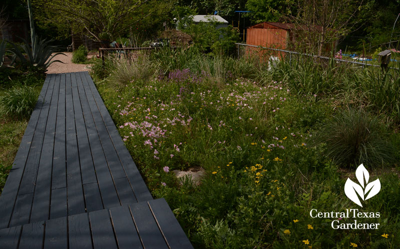 native plants, grasses, Asher