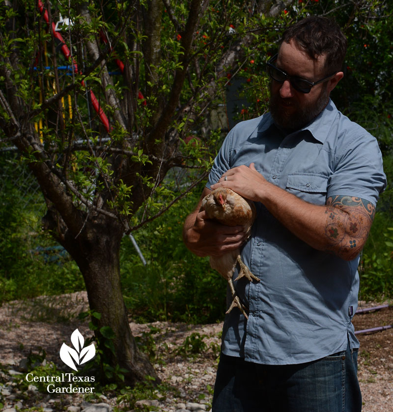 family backyard chickens John Hart Asher Central Texas Gardener