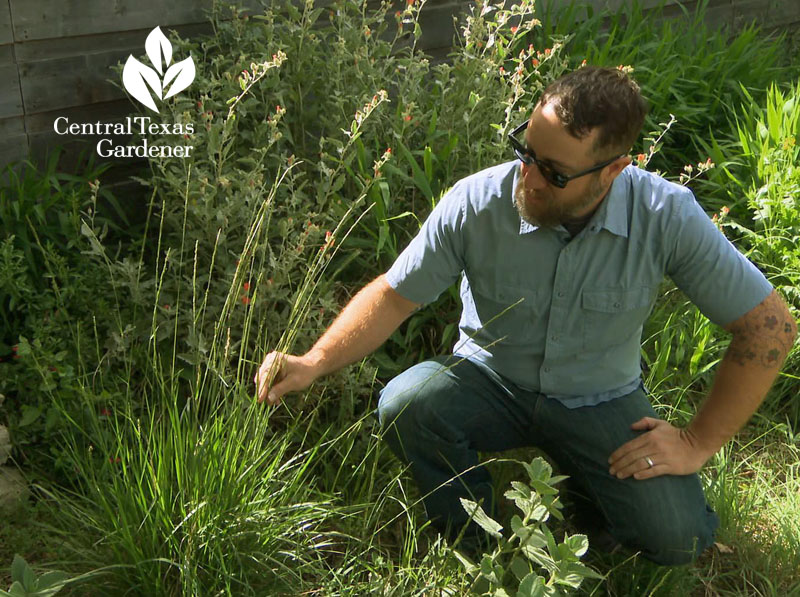 Asher, native grasses, wildlife