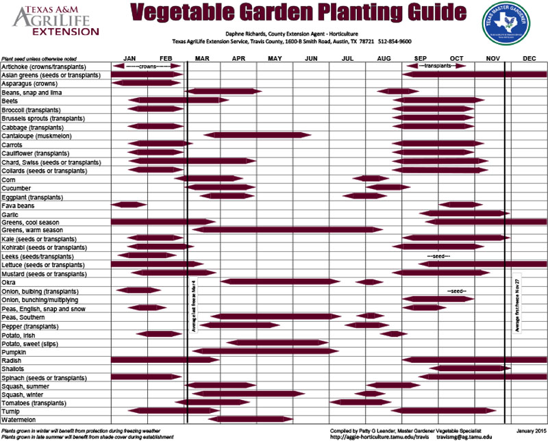 Seeding Food, Flowers and Renovation | Central Texas Gardener