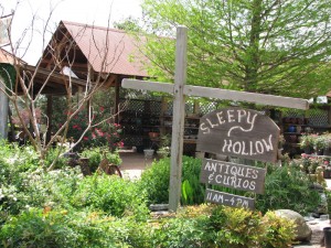 sleepy-hollow-web