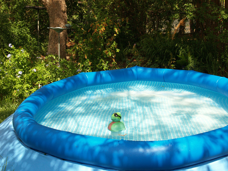 kiddie-pool-2-web
