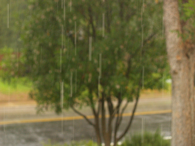rain-at-last-web