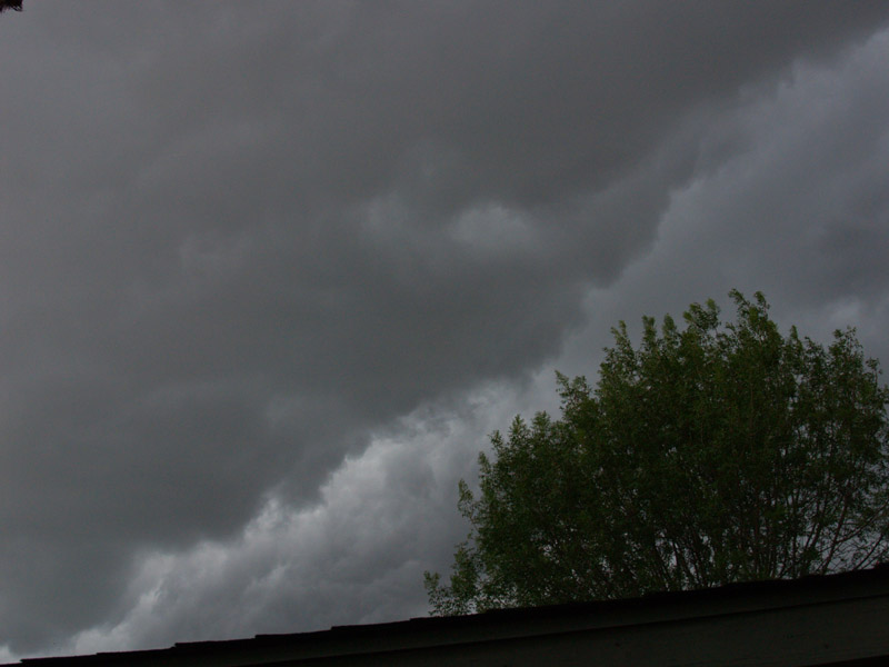 storm-coming-web