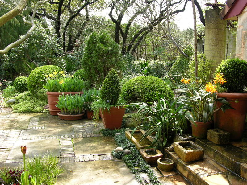 potted-plants-web