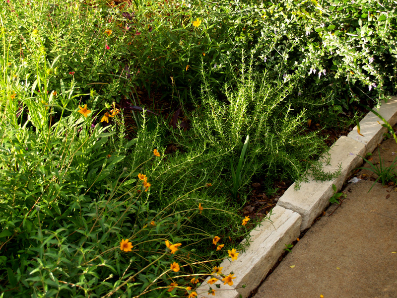 Huntington Carpet rosemary