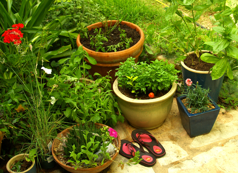 Patio pots