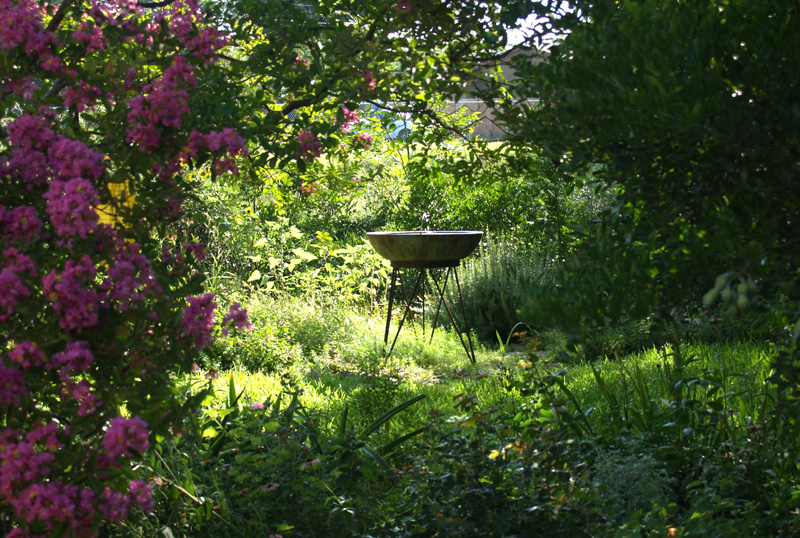 Zac Zamora birdbath