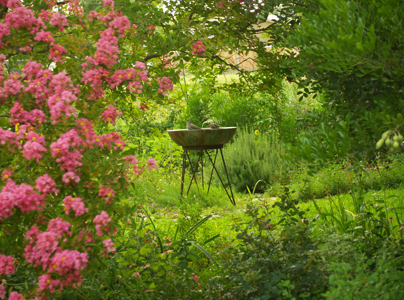 Zac Zamora birdbath