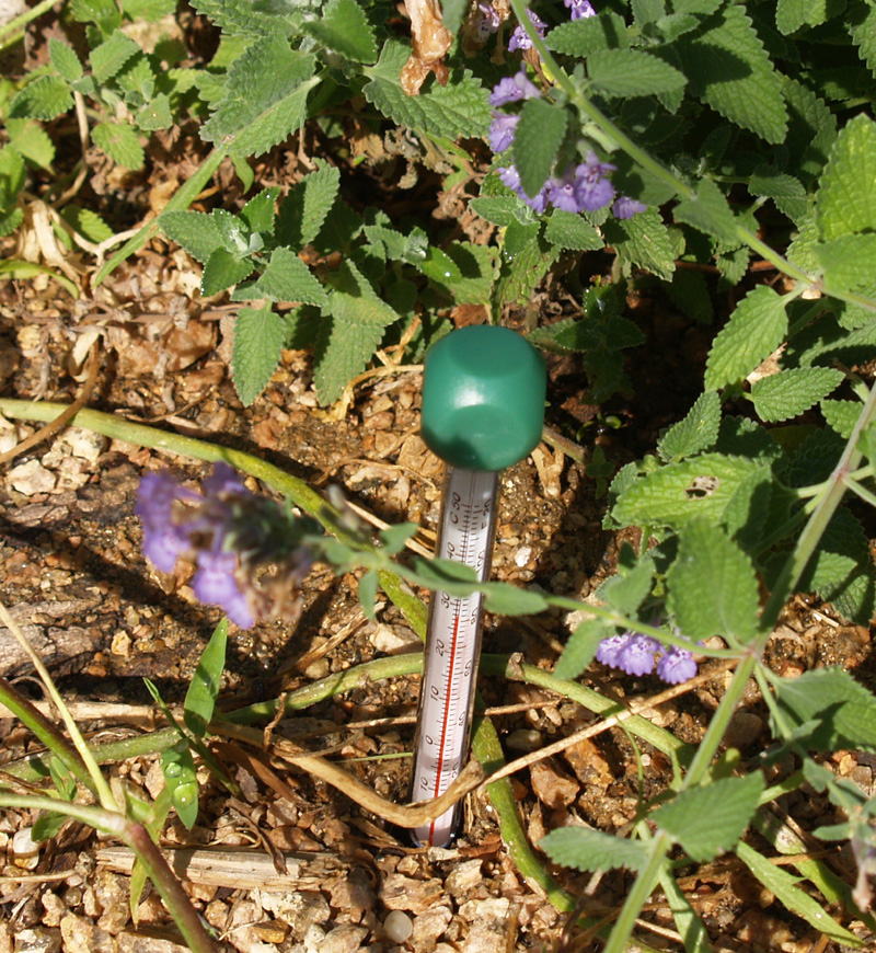 Soil thermometer soil thermometer