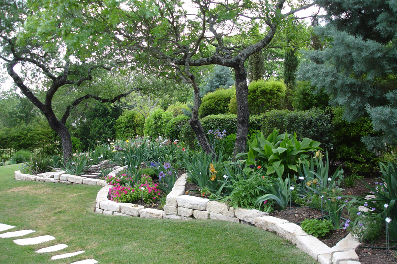 Abel iris garden, photo by Roger Abel 