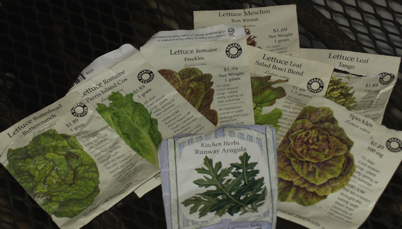 lettuce seeds lettuce seeds
