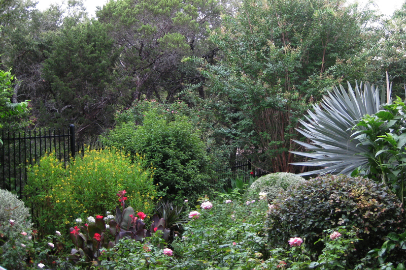 Travis County Master Gardener tour