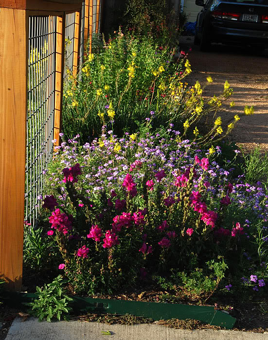 Travis County Master Gardeners tour 