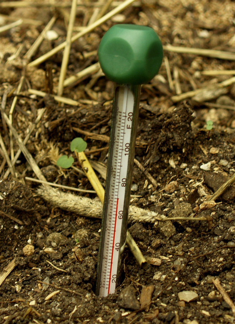 Soil thermometer