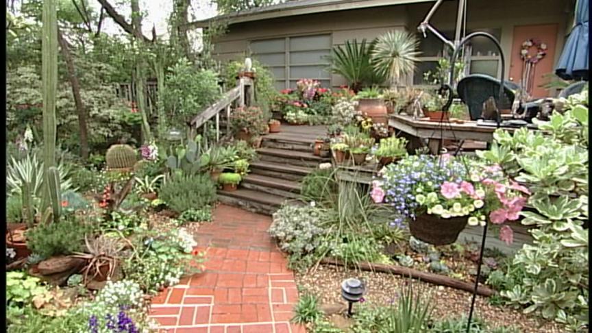 Gail and Don Clowe garden Gail and Don Clowe garden