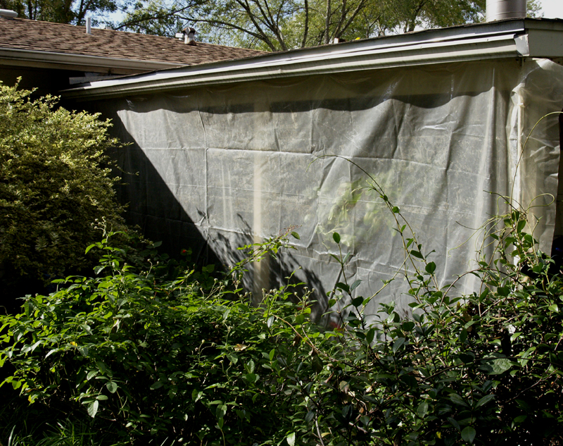 Winter patio plastic greenhouse 