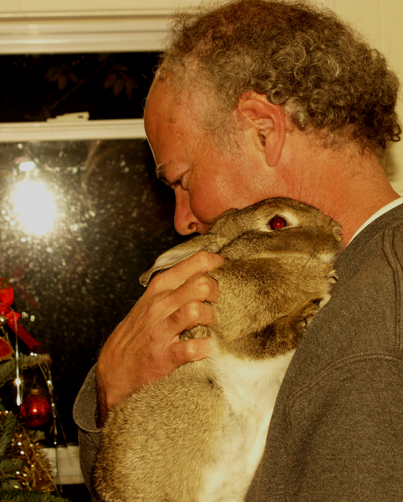 Greg and Harvey bunny Christmas 