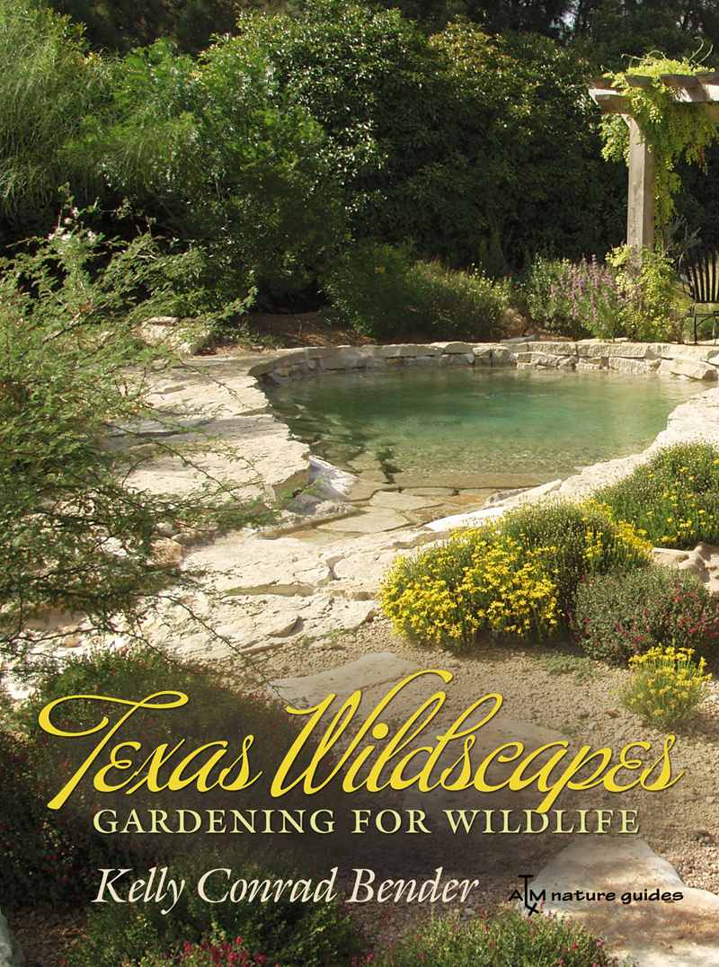 Texas Wildscapes, Kelly Bender