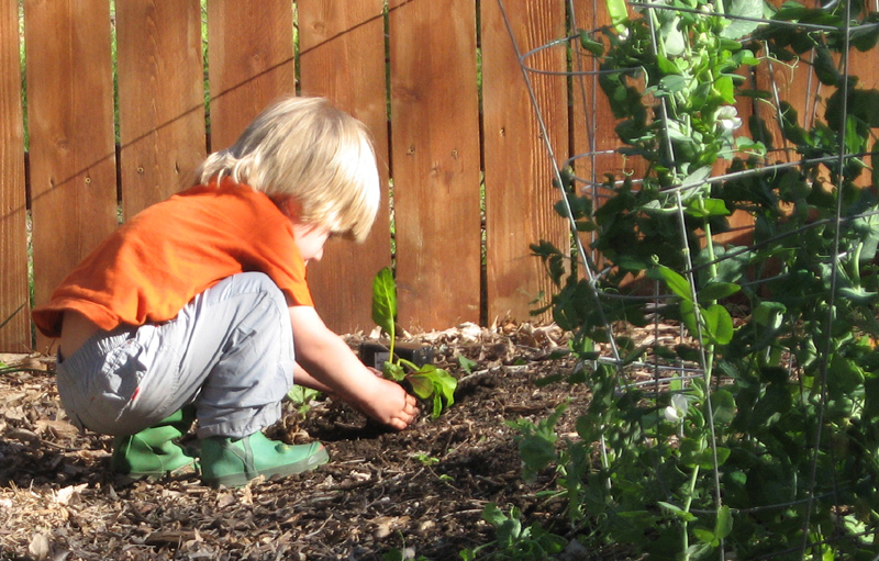 kids love Edible Yards
