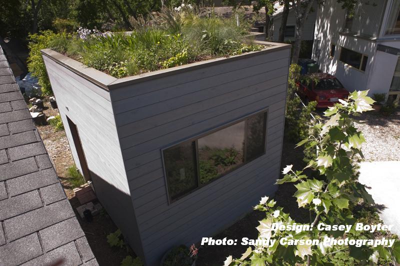 Casey Boyter green roof Austin Texas