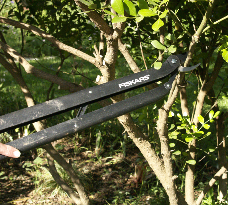 Fiskars pruners