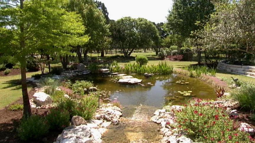 Barbara and Greg Clark pond garden