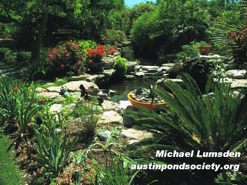 Austin Pond Society tour Austin Pond Society tour