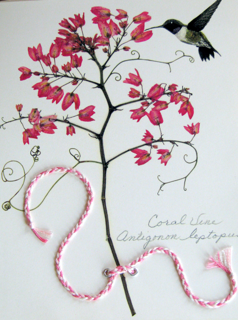 Flat Flower Cards Flat Flower Cards