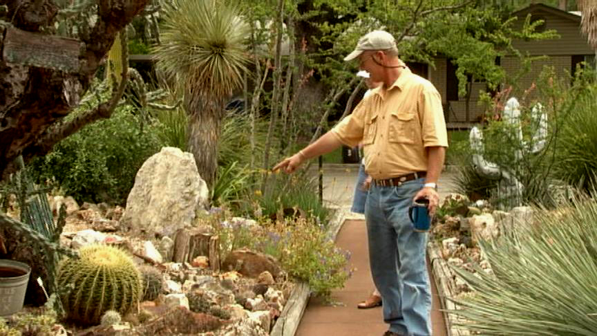 Carol and Richard Blocker San Antonio cactus & succulent garden design