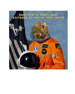 bunny Harvey goes into outer space