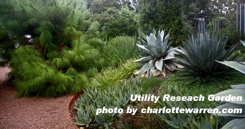 Garden Conservancy Open Days Austin 