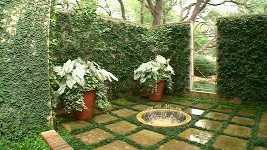 San Antonio Garden Conservancy tour