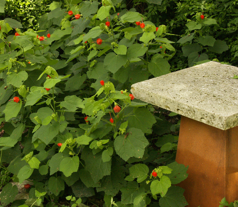 Cat perch with turks cap 