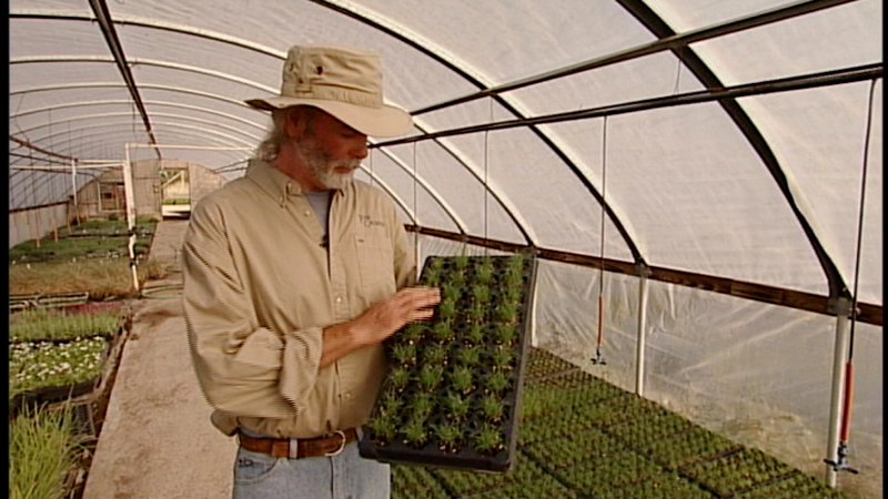 Jim Lidgey, Joss Growers, Georgetown Texas