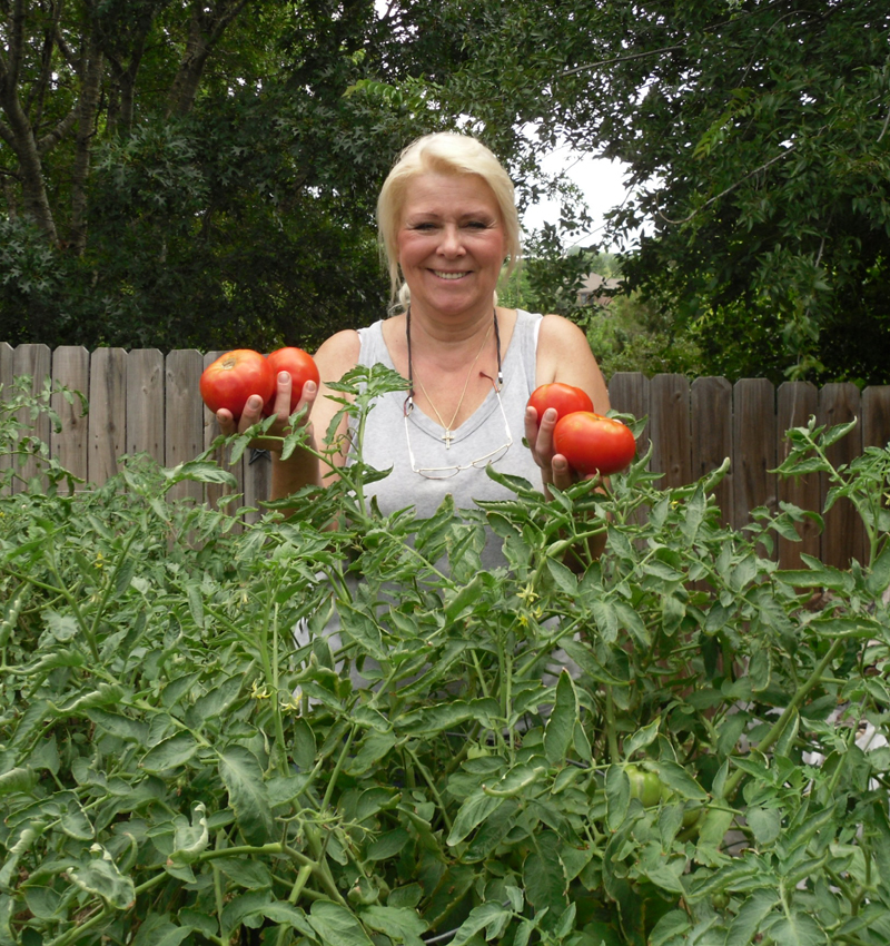 Celebrity tomatoes 