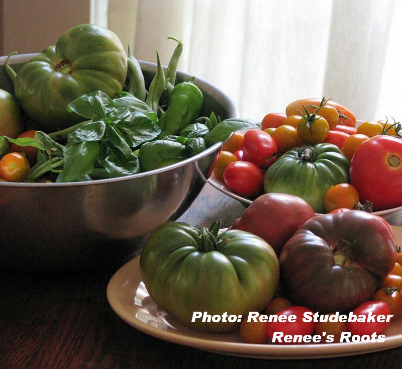 Renee Studebaker tomatoes 