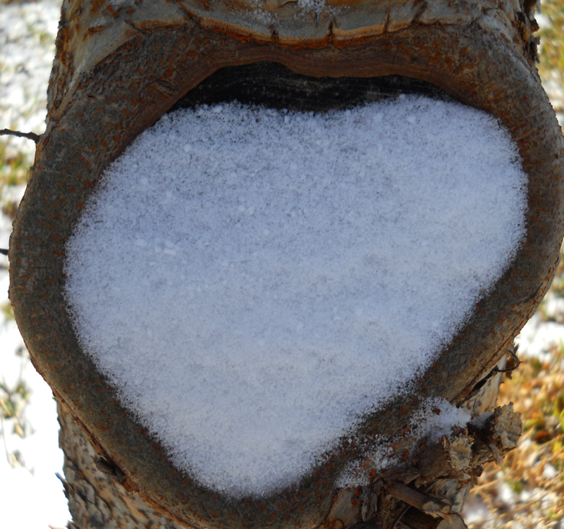 Snow heart 