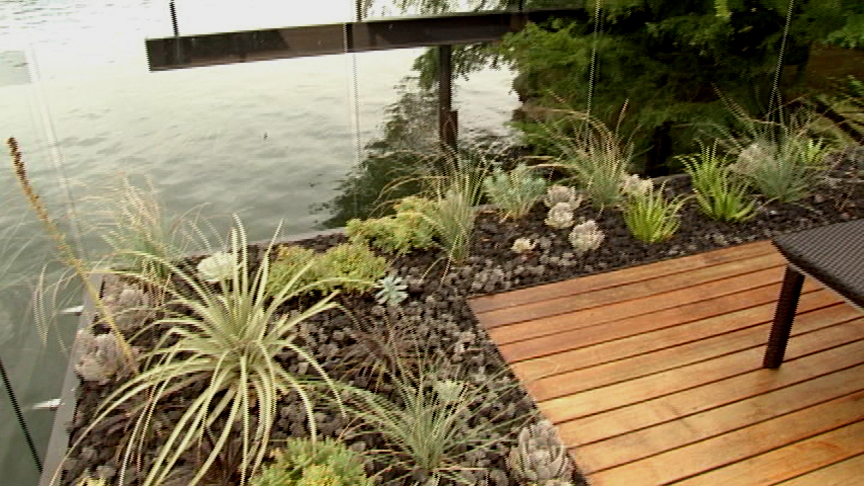 Patrick Kirwin, Bercy Chen rooftop garden design 