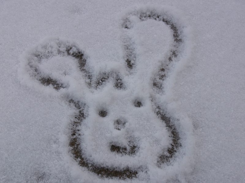 Snow bunny