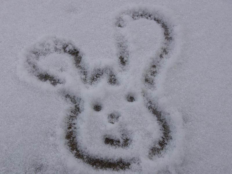 Snow bunny