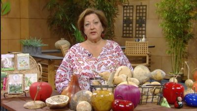 Gourds with Trisha Shirey