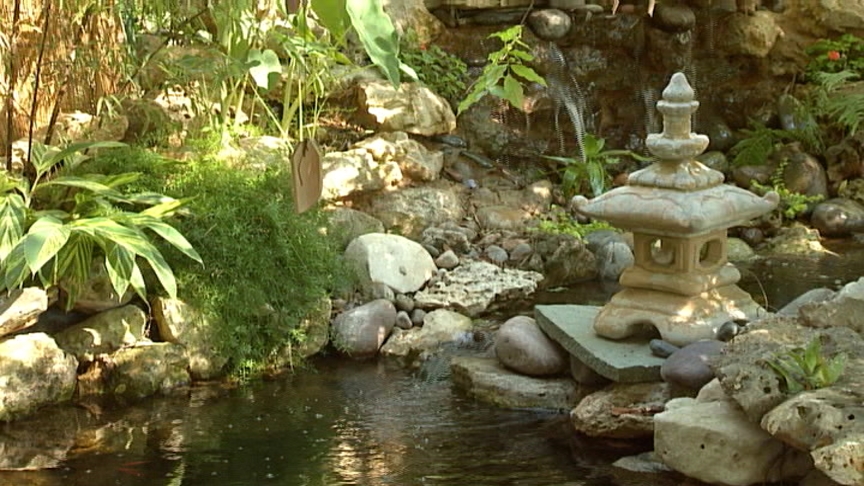 Barbara and David Hale garden, Austin Pond Society