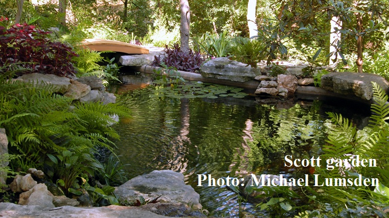 Scott Austin Pond Society tour 