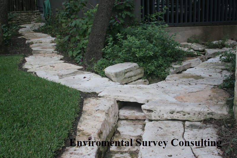 Drainage solution Environmental Survey Consulting
